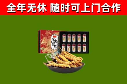 盘龙回收冬虫夏草价格